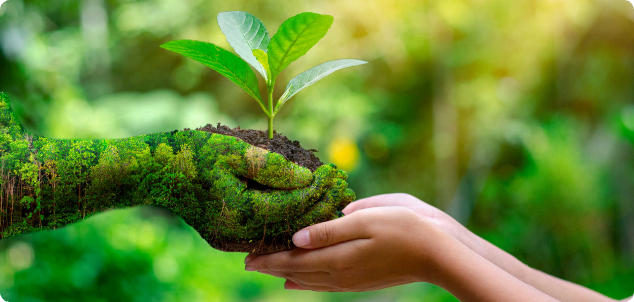 Gasketed Plate Heat Exchanger